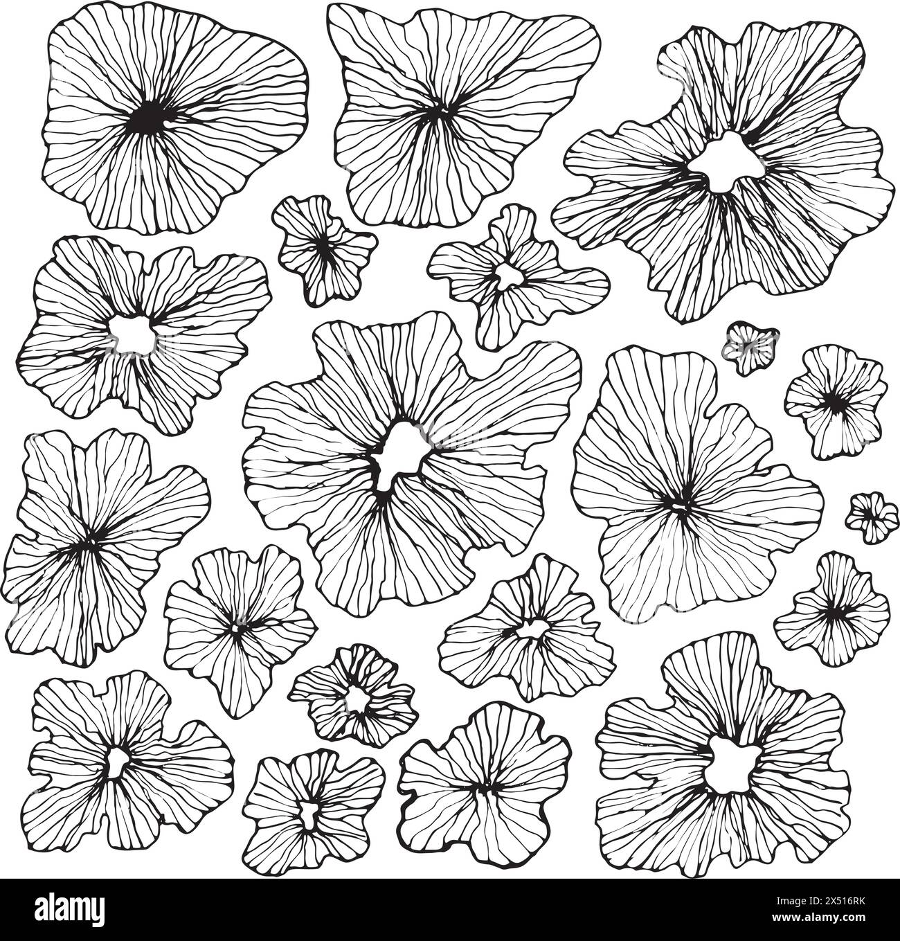 Seamless floral pattern with hand drawn flower garden elements on an ...