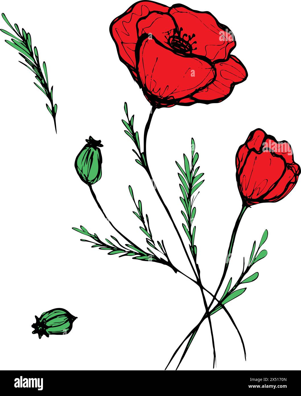 Abstract red poppies flowers vector illustration.Poppies drawing ...