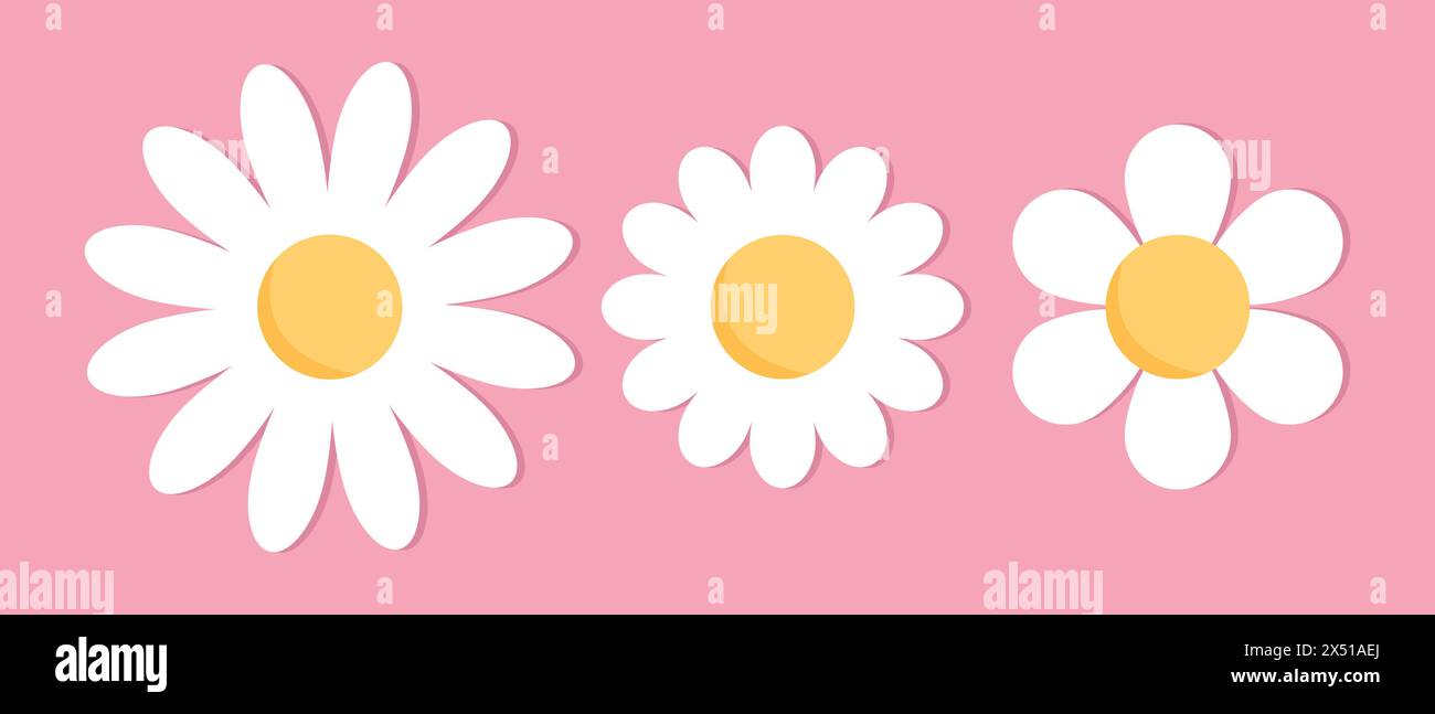 Cute chamomile flowers. Cute chamomile flower icons set on pink background. Chamomile or daisy with white petals. Plant flower head sign symbol. Vecto Stock Vector