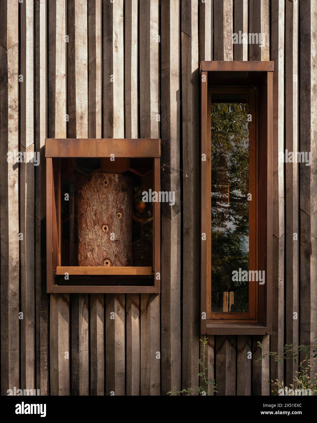 Timber cladding detail with windows. The Beezantium at The Newt, Bruton, United Kingdom. Architect: Invisible Studio, 2021. Stock Photo