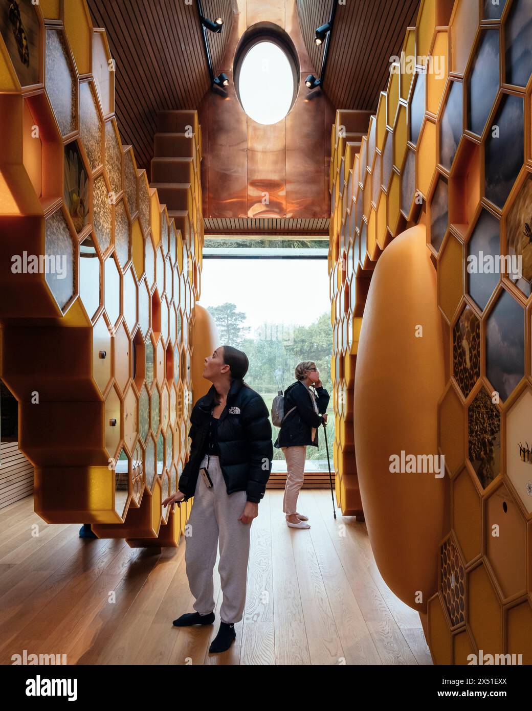 Visitors in the exhibition space. The Beezantium at The Newt, Bruton, United Kingdom. Architect: Invisible Studio, 2021. Stock Photo