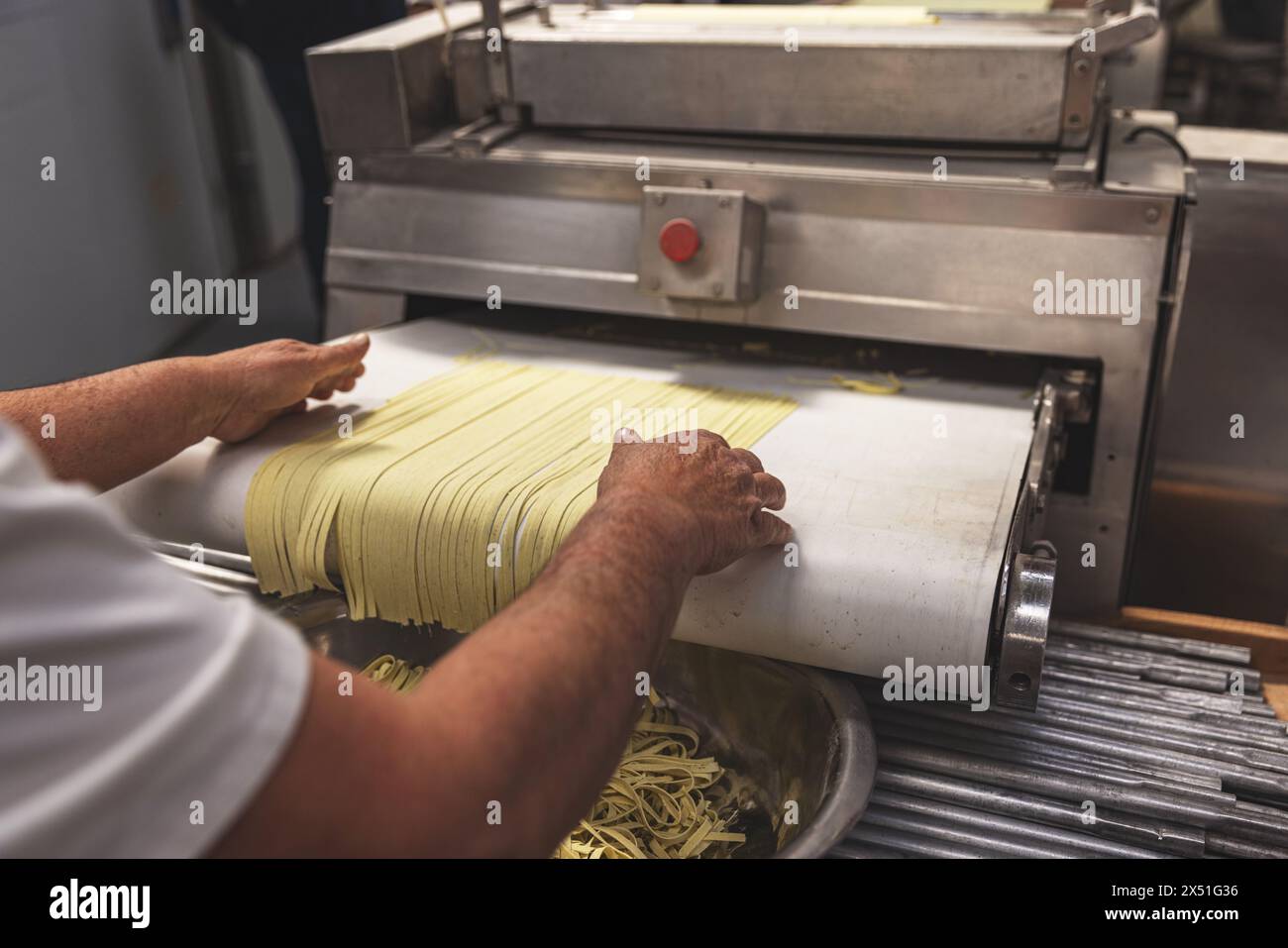 Fresh pasta production in traditional kitchen or pasta factory, industrial concept Stock Photo