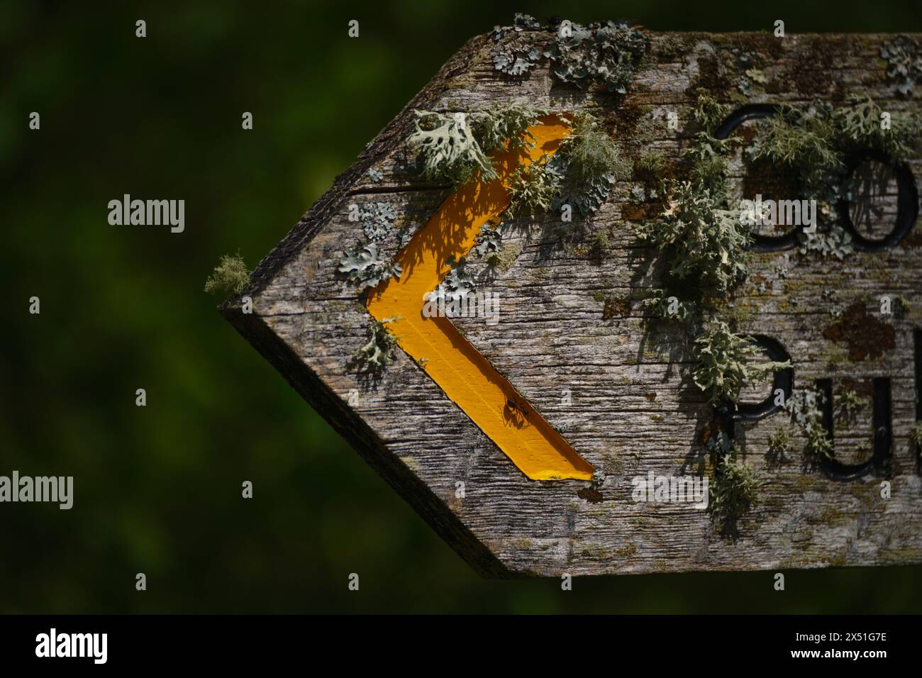 Lichen covered wooden footpath sign close-up situated in the new forest hampshire England, inside the yellow arrow sits an ant casting a shadow. Stock Photo