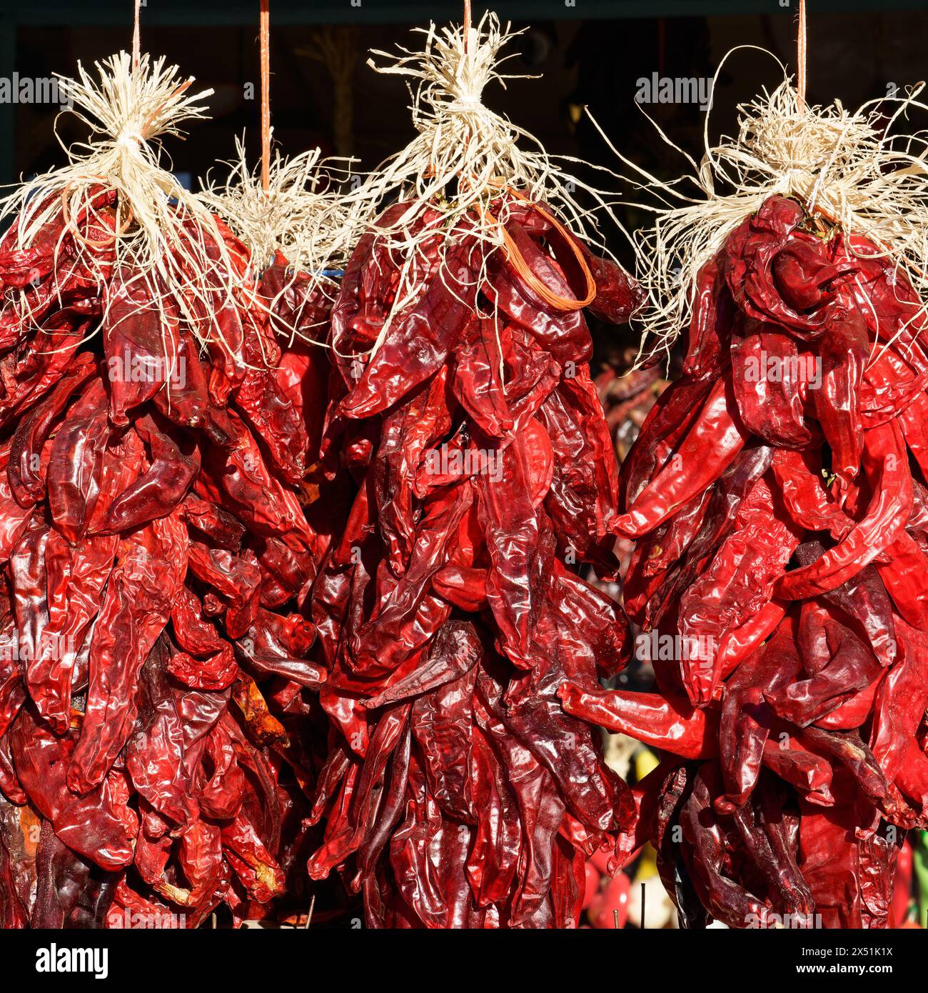 Chile Ristras of red chile peppers hanging in bunches in bright sun ...