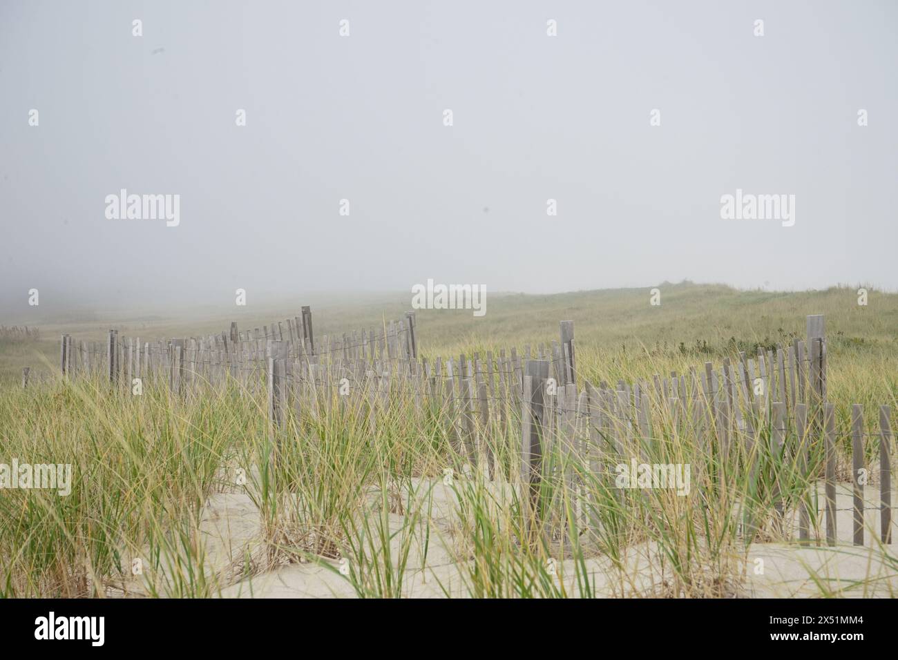 Landscape with wooden fencing in the dunes of Nauset Beach on Cape Cod Stock Photo