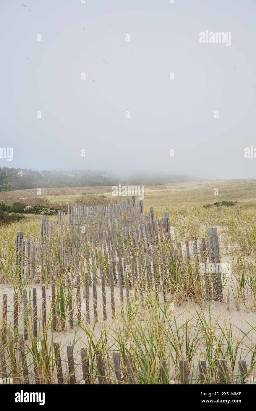 Wooden fencing on misty dunes at Nauset Beach on Cape Cod Stock Photo