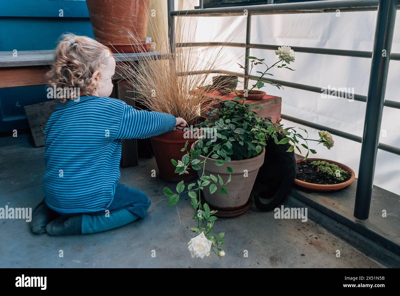 Little child sitting on balcony floor and picking at a flower pot Stock Photo