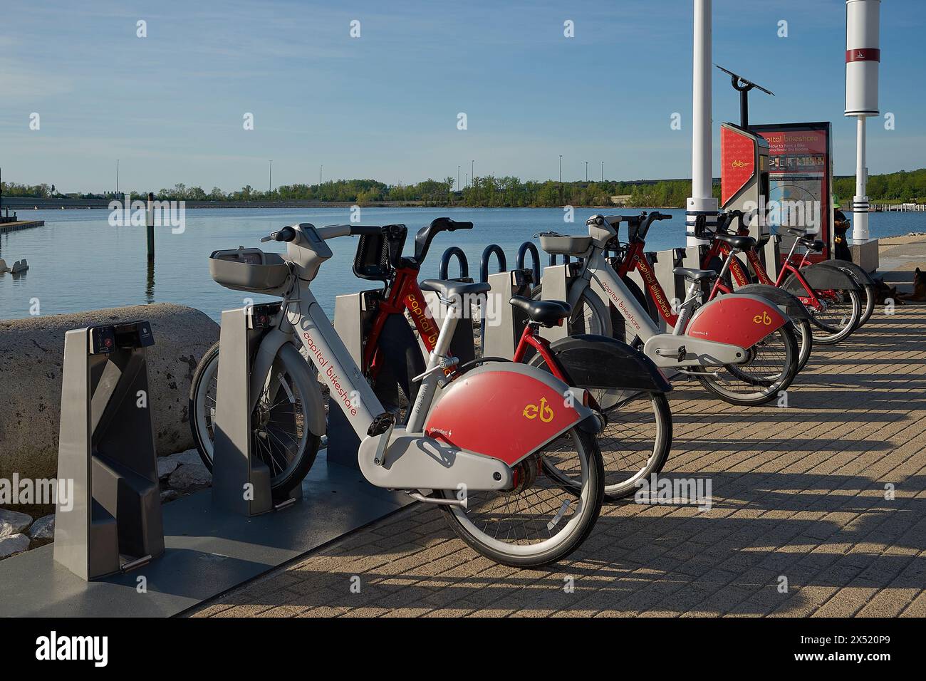 Image showcasing Electric e-bikes lined up for rent at the National Harbor in Washington ...