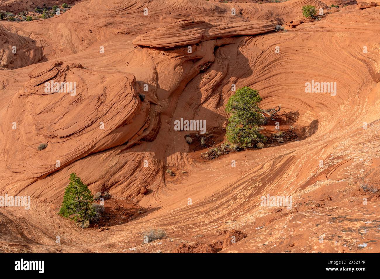 Hiking deep into Monument Valley shows how water and wind erosion over millions of years forms intricate patterns in the soft sandstone found througho Stock Photo