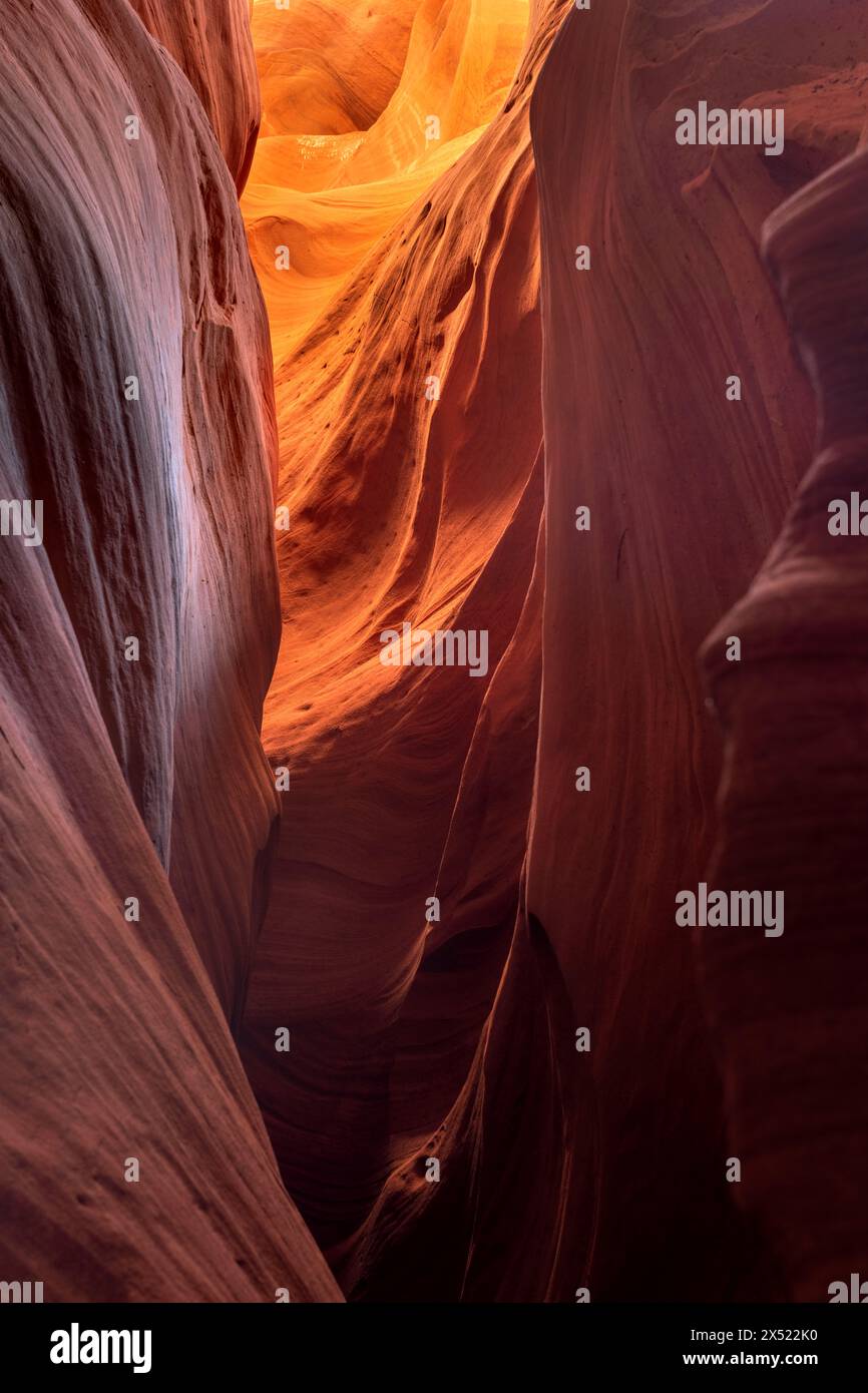 Arizona Swirl Rocks Swirl patterns on the sandstone walls of slot canyons in Arizona form ...