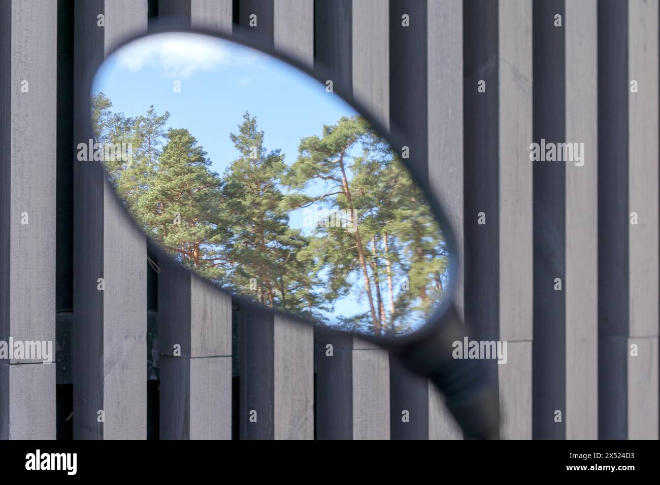 close-up of an oval mirror with a background of trees in it Stock Photo