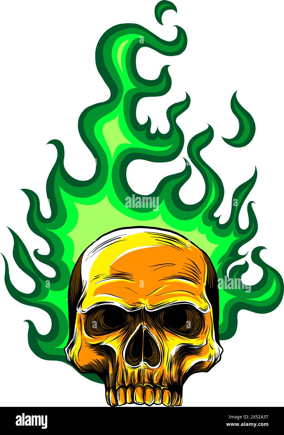 vector illustration of human skull on white background. digital hand ...