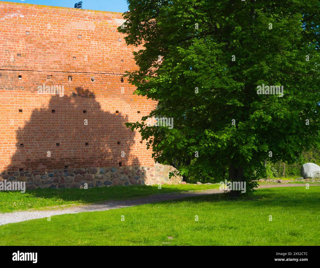 Castle Walls and a Green Tree Casting Shadows Stock Photo - Alamy