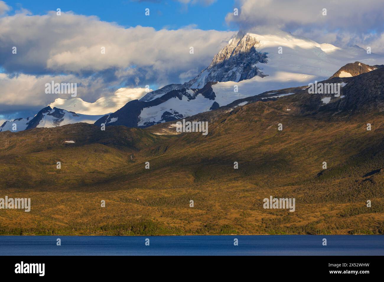 Darwin Sound Shell Darwin Sound, Beagle Channel, Tierra del Fuego, Chile, South America ...