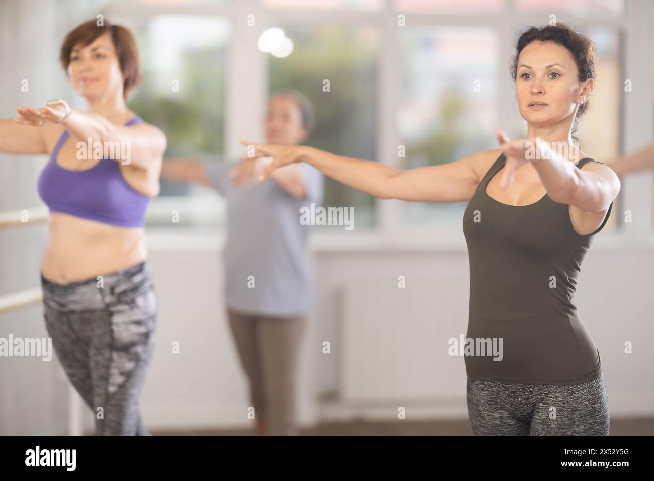 Group of female beginners rehearsing ballet dance Stock Photo