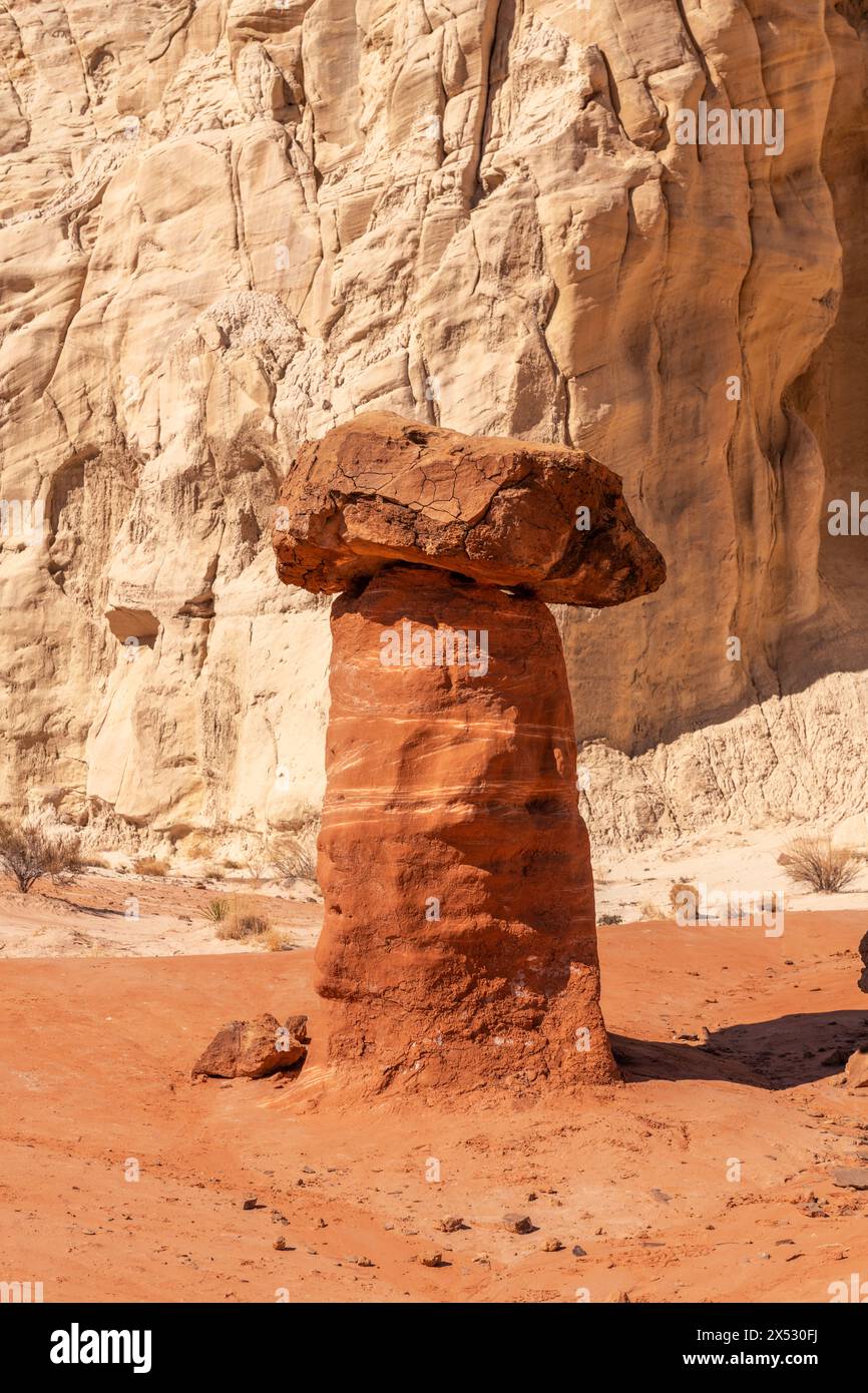 White and red sandstone toadstool hoodoo at Kanab Utah showing highly eroded spires and balanced harder rock on top. Stock Photo
