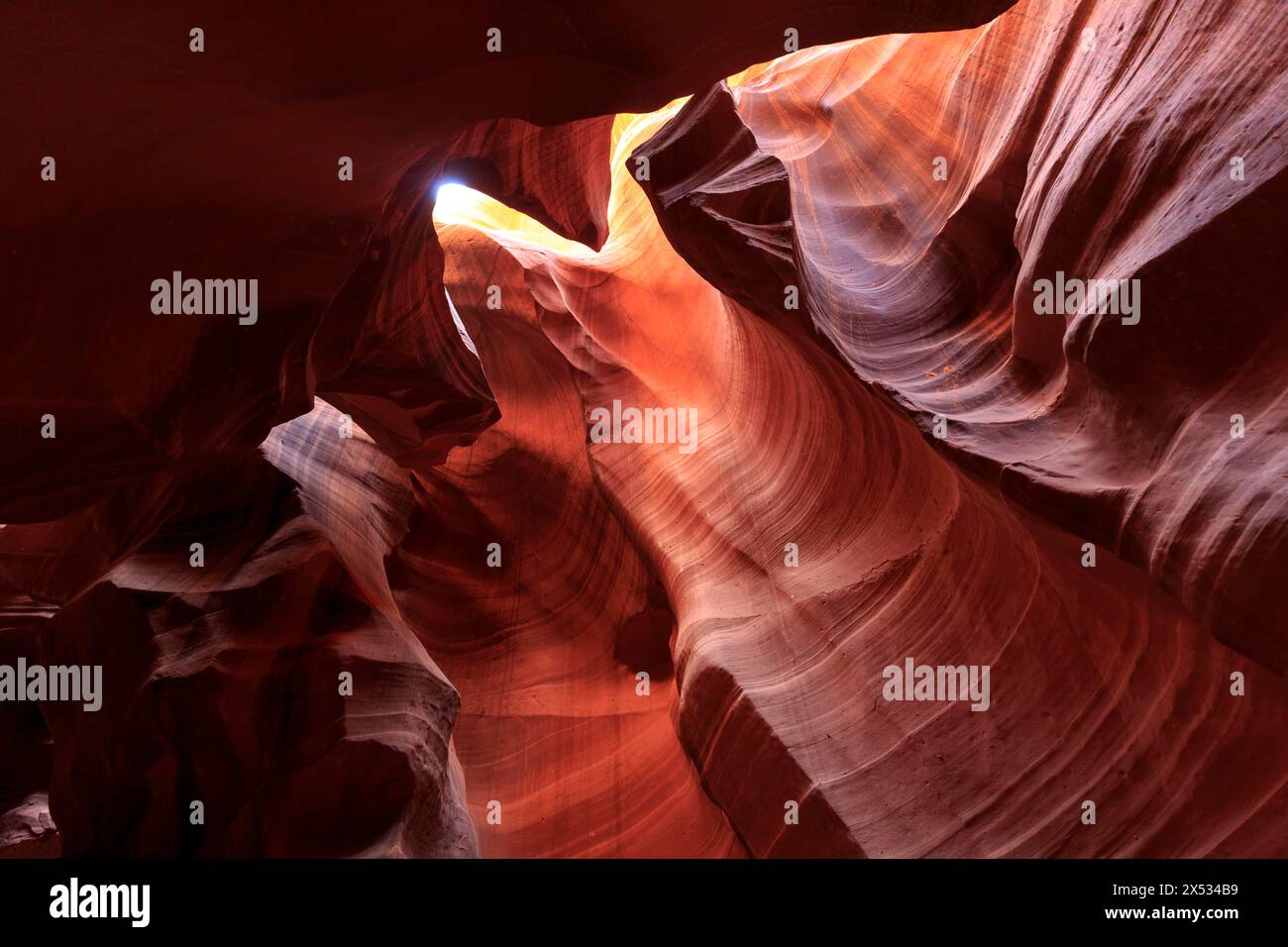 Light and shadow play on the curved, water-sculpted Convolvulus of a canyon, Upper Antelope Canyon, North America, USA, South-West, Arizona Stock Photo