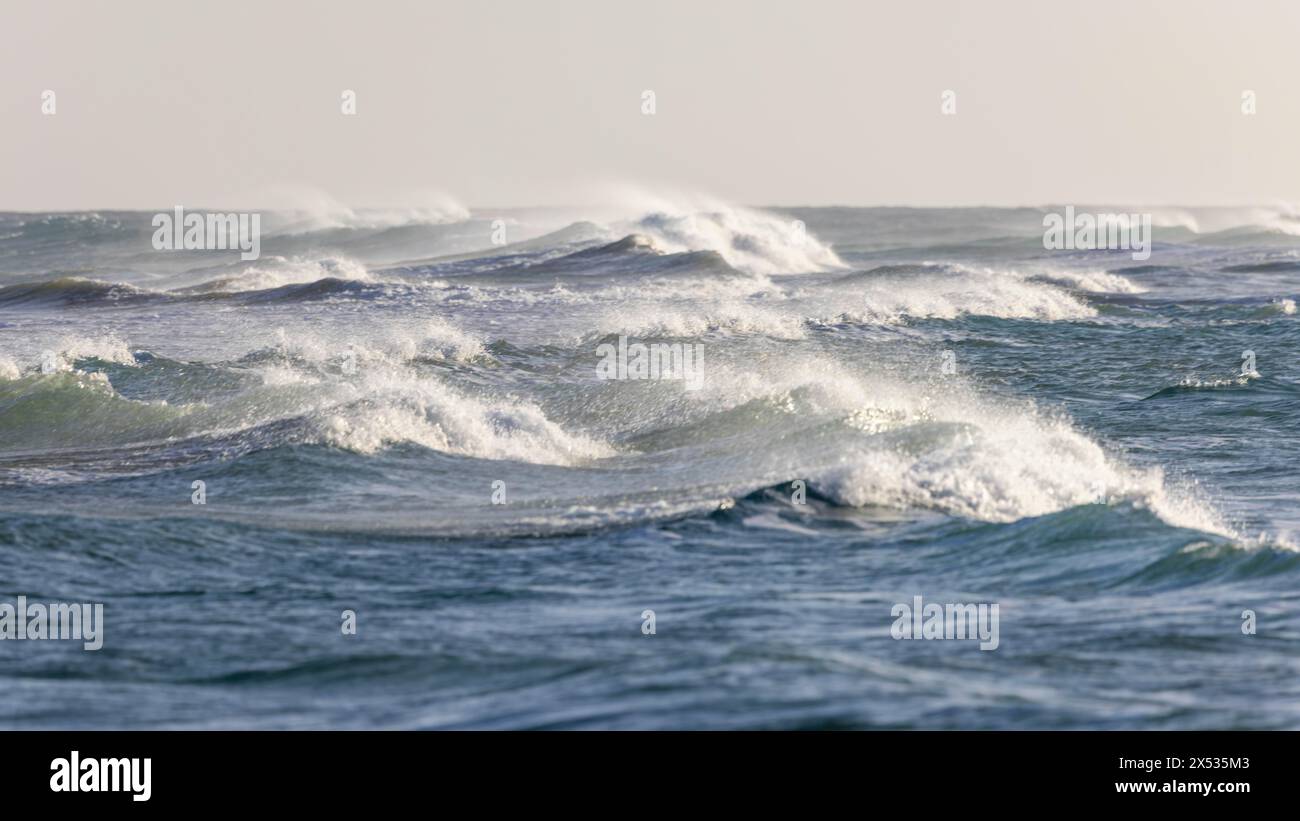 Destination Spain, swimming in the sea, travel, holiday, holiday feeling, sea, waves, Playa del Matorral, bathing fun, relaxation, peace and nature Stock Photo