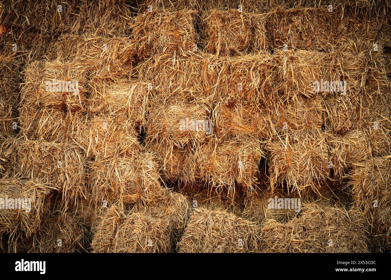 Dry straw bale and agricultural byproducts. stacked yellow straw bales