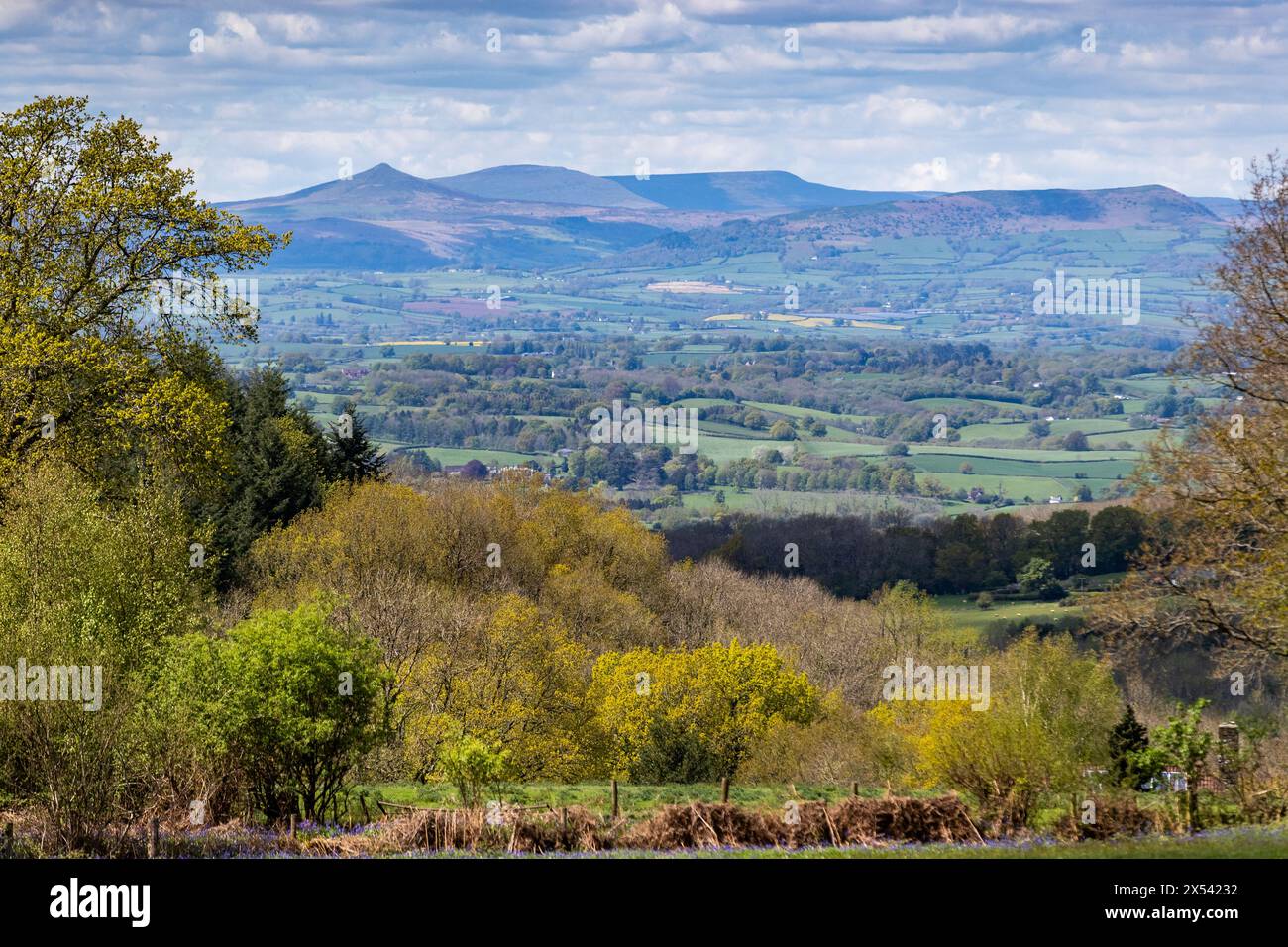 Beacon hill trellech hi-res stock photography and images - Alamy