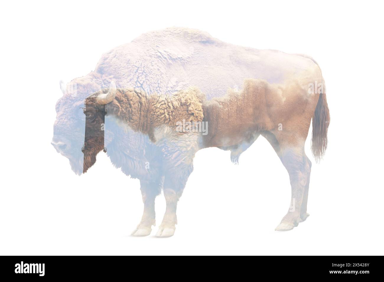 Double exposure of industrial chimney with smoke and bison. Environmental pollution Stock Photo