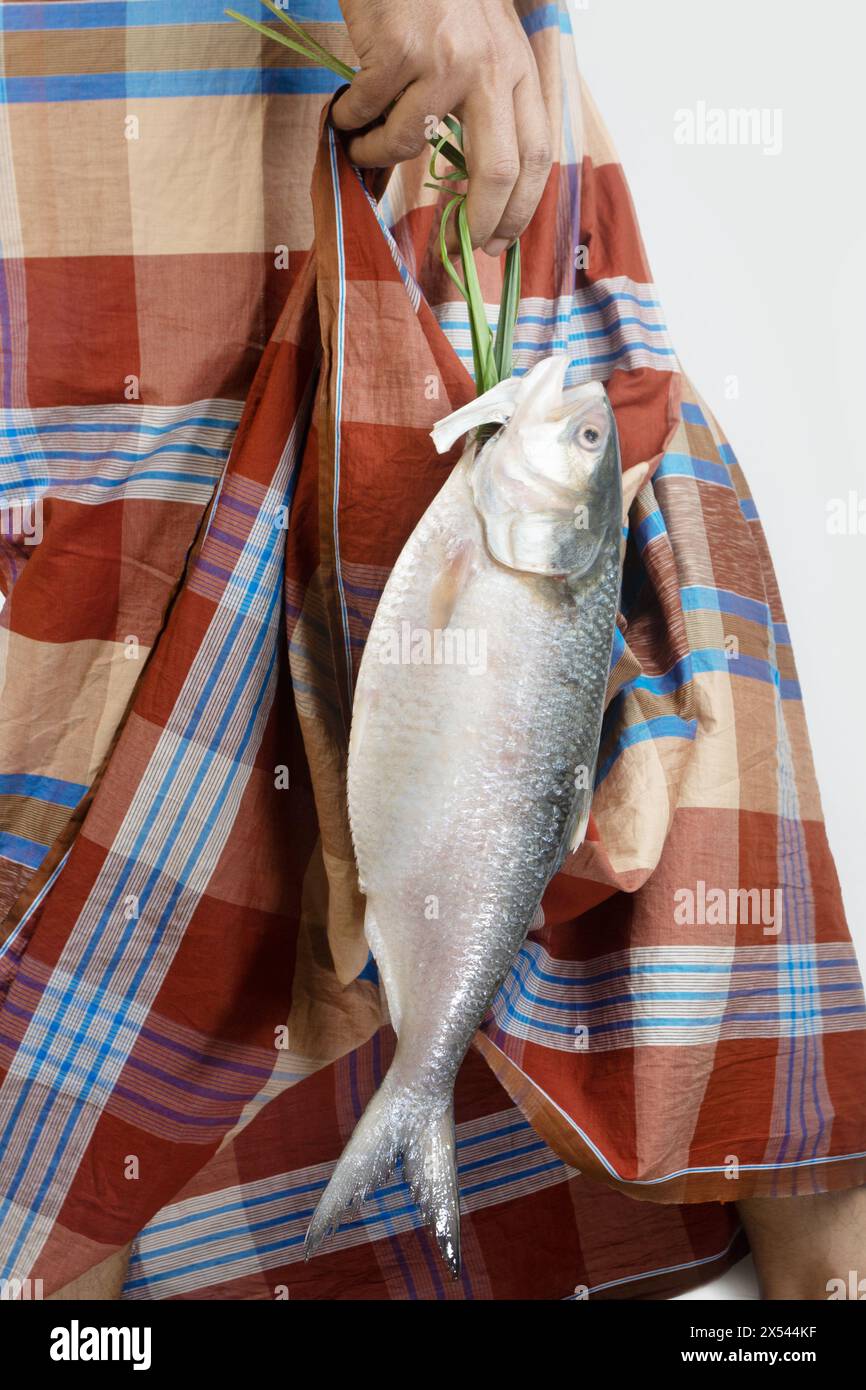 A lungi wearing man carrying ilish maach. Holding fish with Natural straw or fiber. National fish of Bangladesh. Hilsafish, ilisha, hilsa herring or h Stock Photo