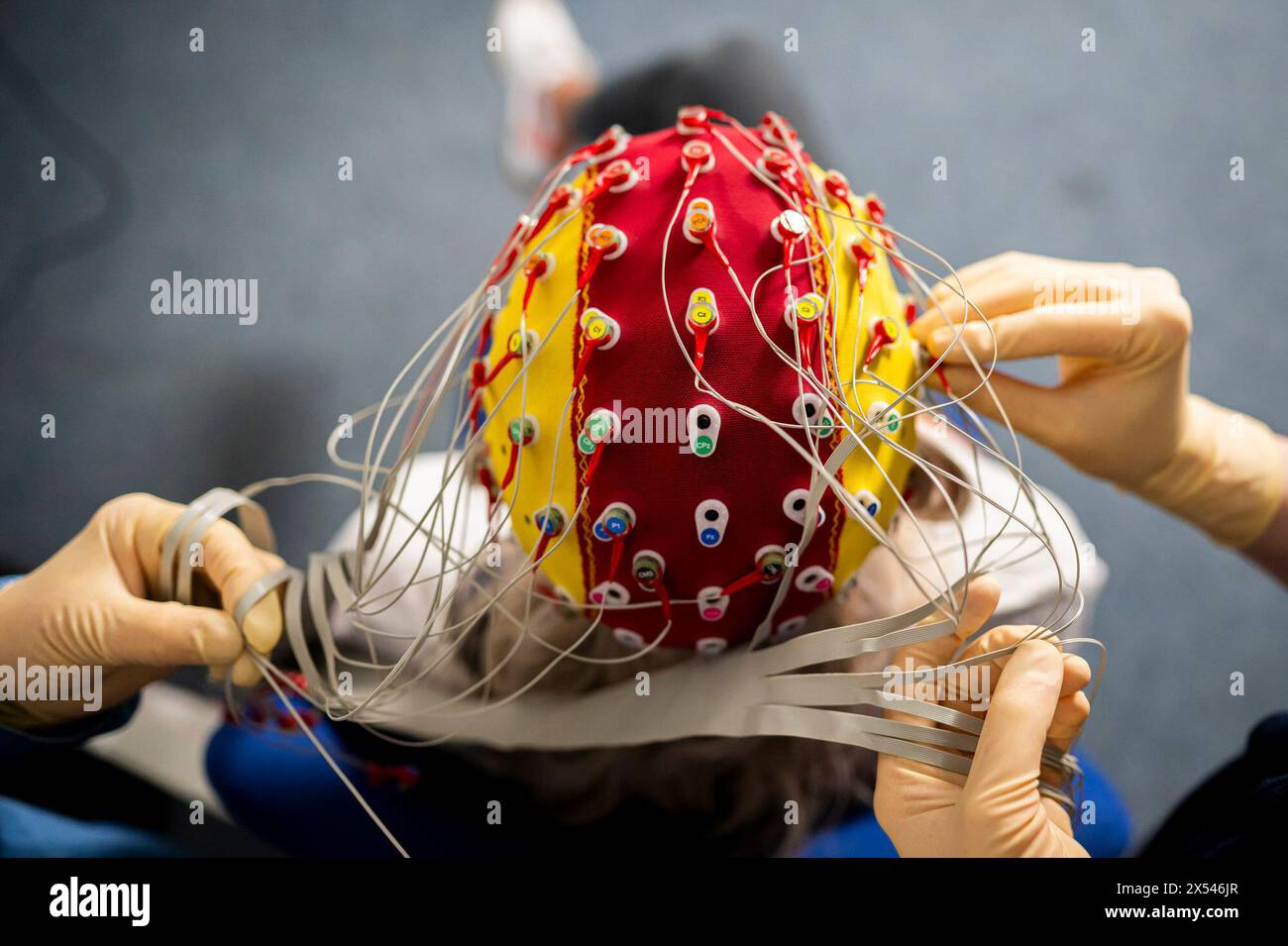 Jena, Germany. 29th Apr, 2024. A test subject wears an EEG cap ...