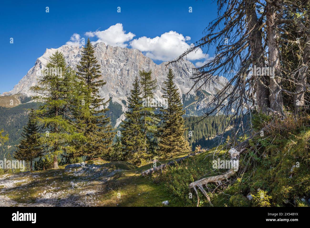 geography / travel, Austria, Tyrol, Ehrwald, Wettersteingebirge seen from the Gaistal valley, ADDITIONAL-RIGHTS-CLEARANCE-INFO-NOT-AVAILABLE Stock Photo