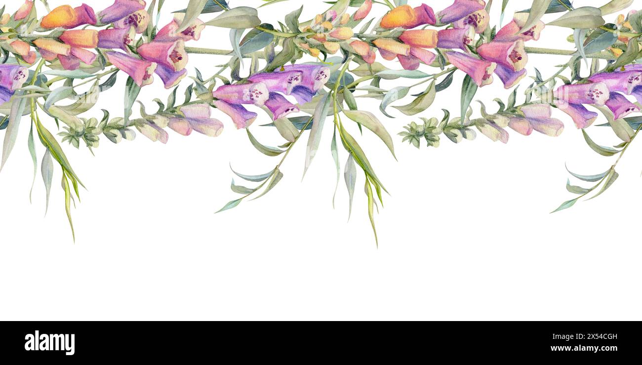 Hand drawn watercolor illustration shabby boho botanical flowers leaves. Willow eucalyptus branch, foxglove snapdragon lupin. Seamless banner isolated Stock Photo