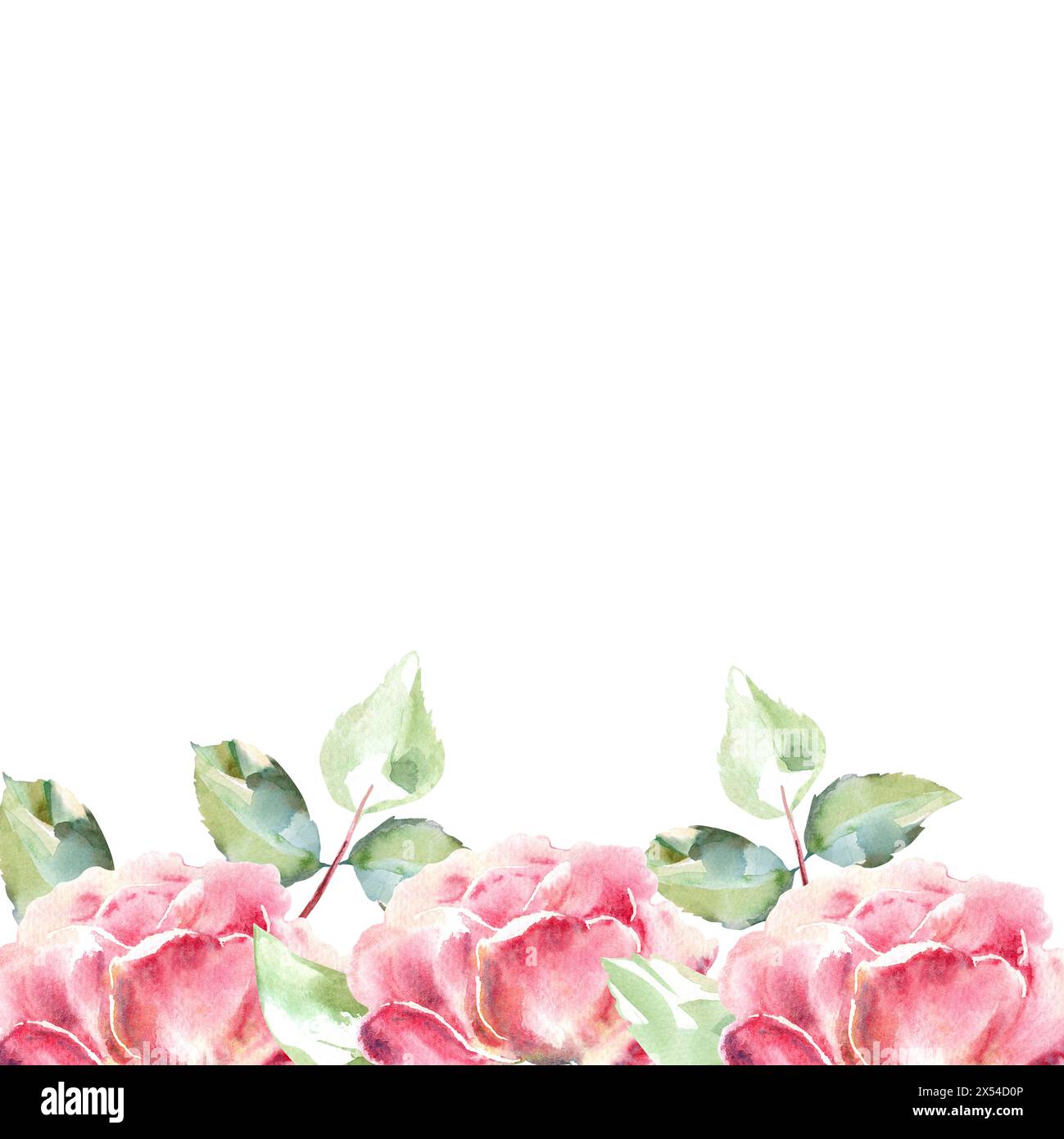 Pink roses watercolor hand painting arrangement, floral illustration in ...