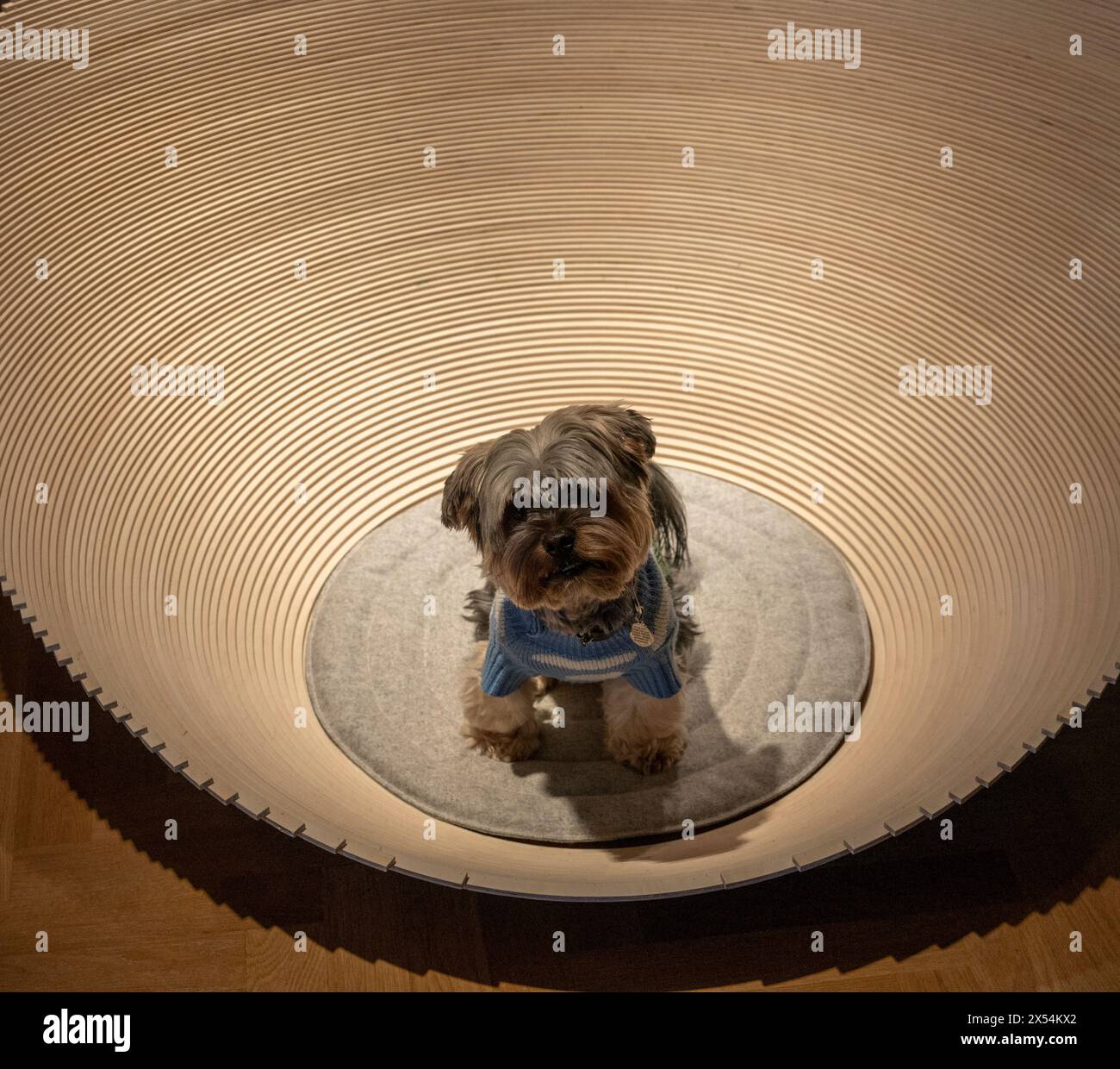 Bonham’s, London, UK. 7th May, 2024. Highlights from Goodwoof’s