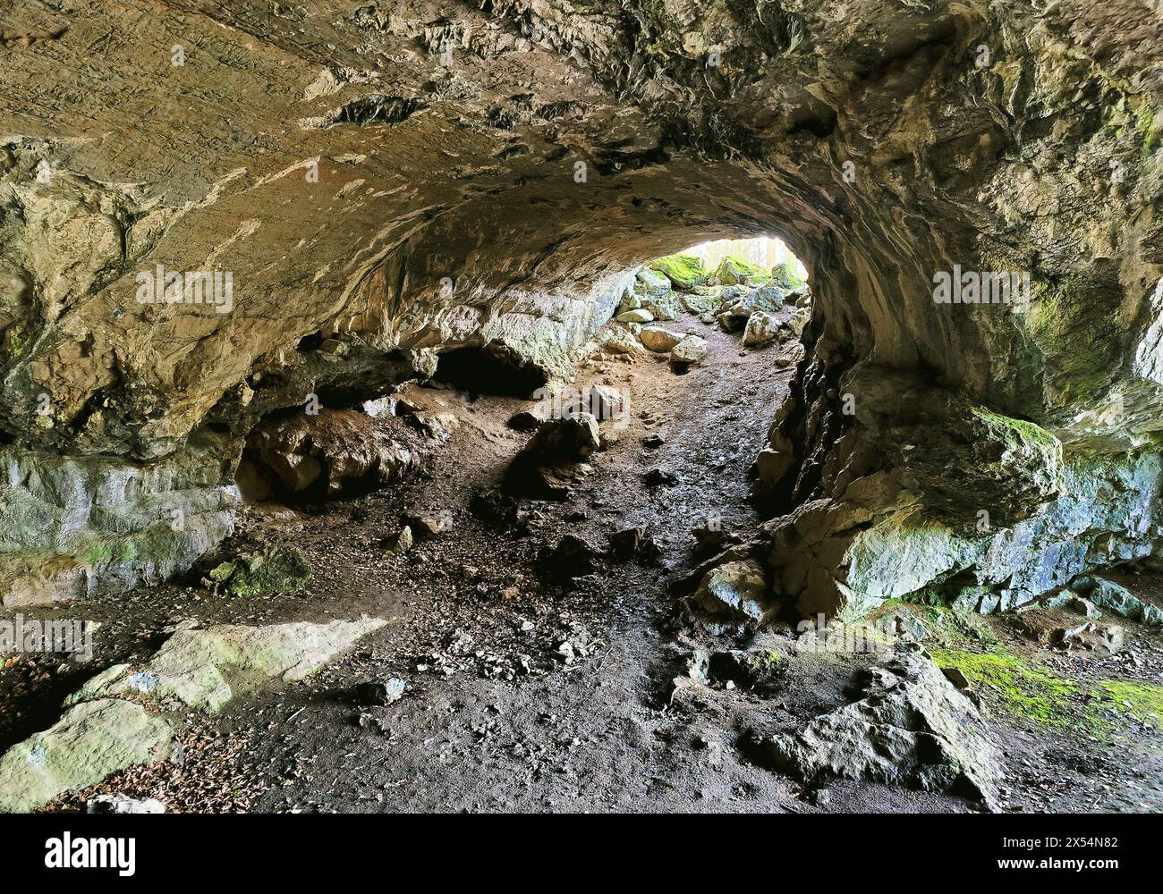 in the Feldhof cave in the Hoenne valley, Germany, North Rhine-Westphalia, Sauerland, Balve Stock Photo