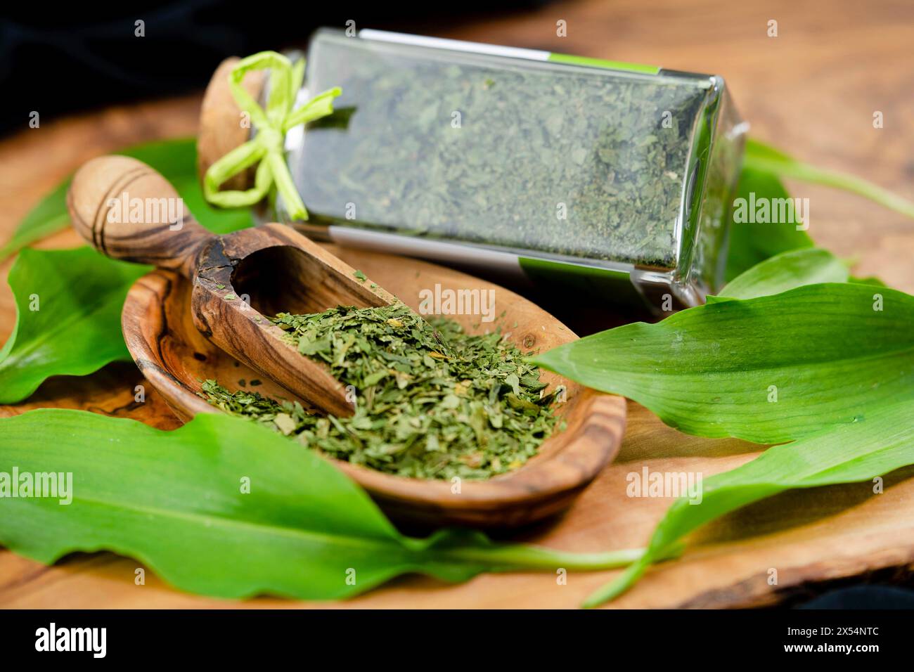 ramson, buckrams, wild garlic, broad-leaved garlic, wood garlic, bear leek, bear's garlic  (Allium ursinum), Wild garlic leaves, fresh and dried on a Stock Photo