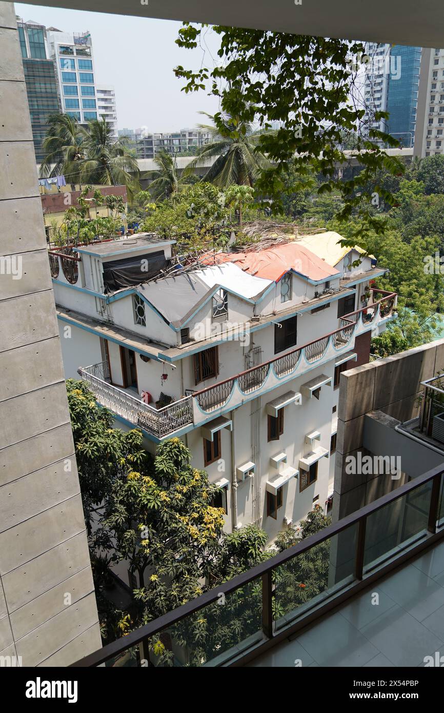 Rooftop garden. Mymensingh Road, Dhaka, Bangladesh. Stock Photo