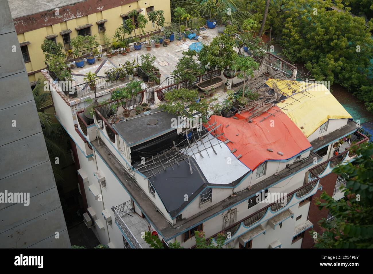 Rooftop garden. Mymensingh Road, Dhaka, Bangladesh. Stock Photo