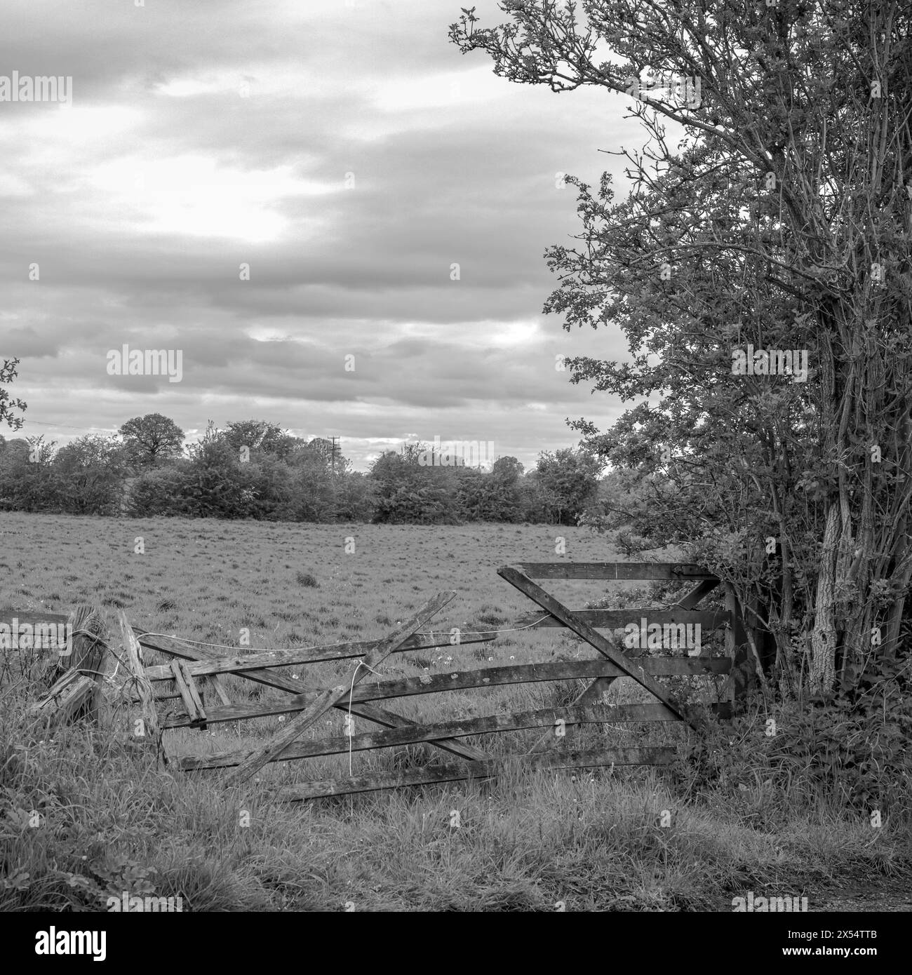 Entrance to farm field with damaged gate in Black & White Stock Photo