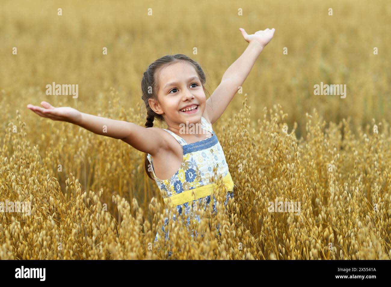 Cute little girl in the wheat field Stock Photo - Alamy