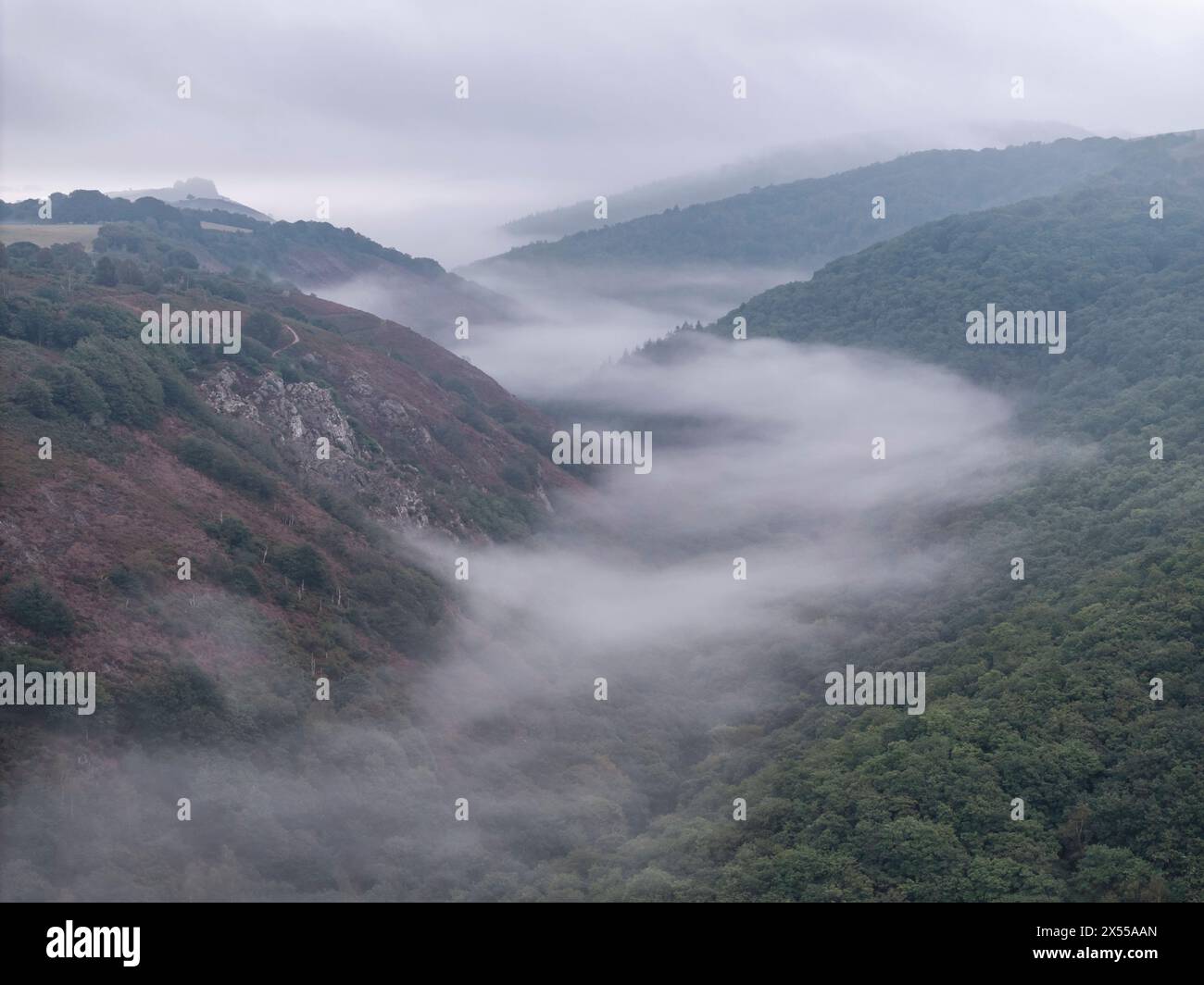 Morning mist in the River Teign Valley near Castle Drogo, Dartmoor National Park, Devon, England.  Autumn (September) 2023. Stock Photo