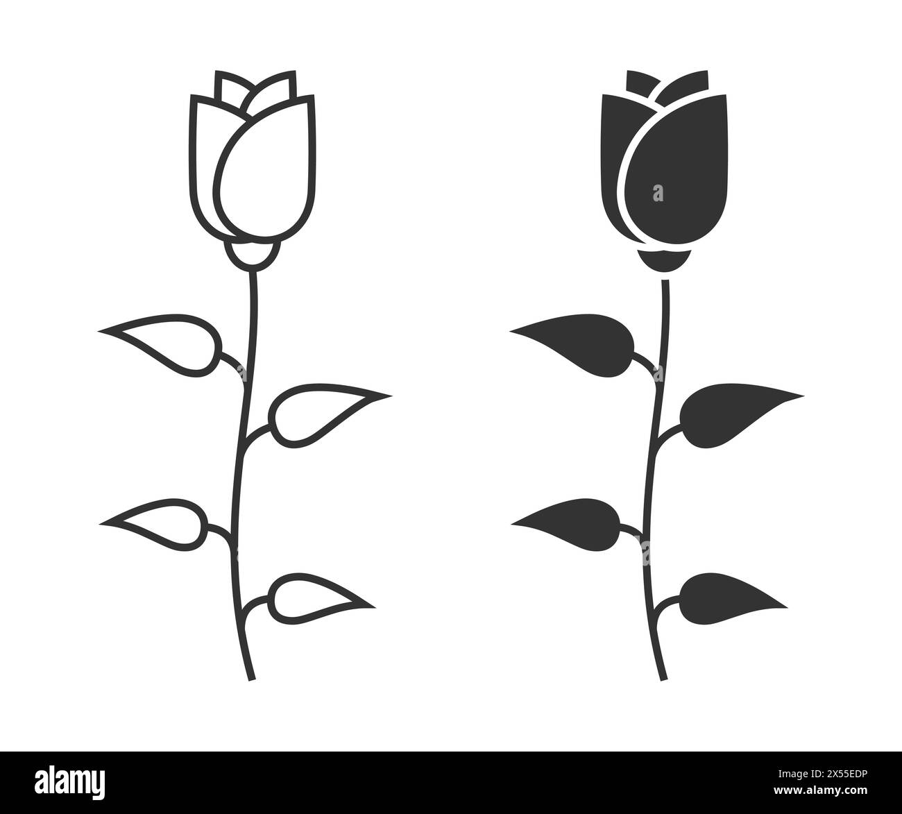 White flower tulip icon isolated Black and White Stock Photos & Images ...