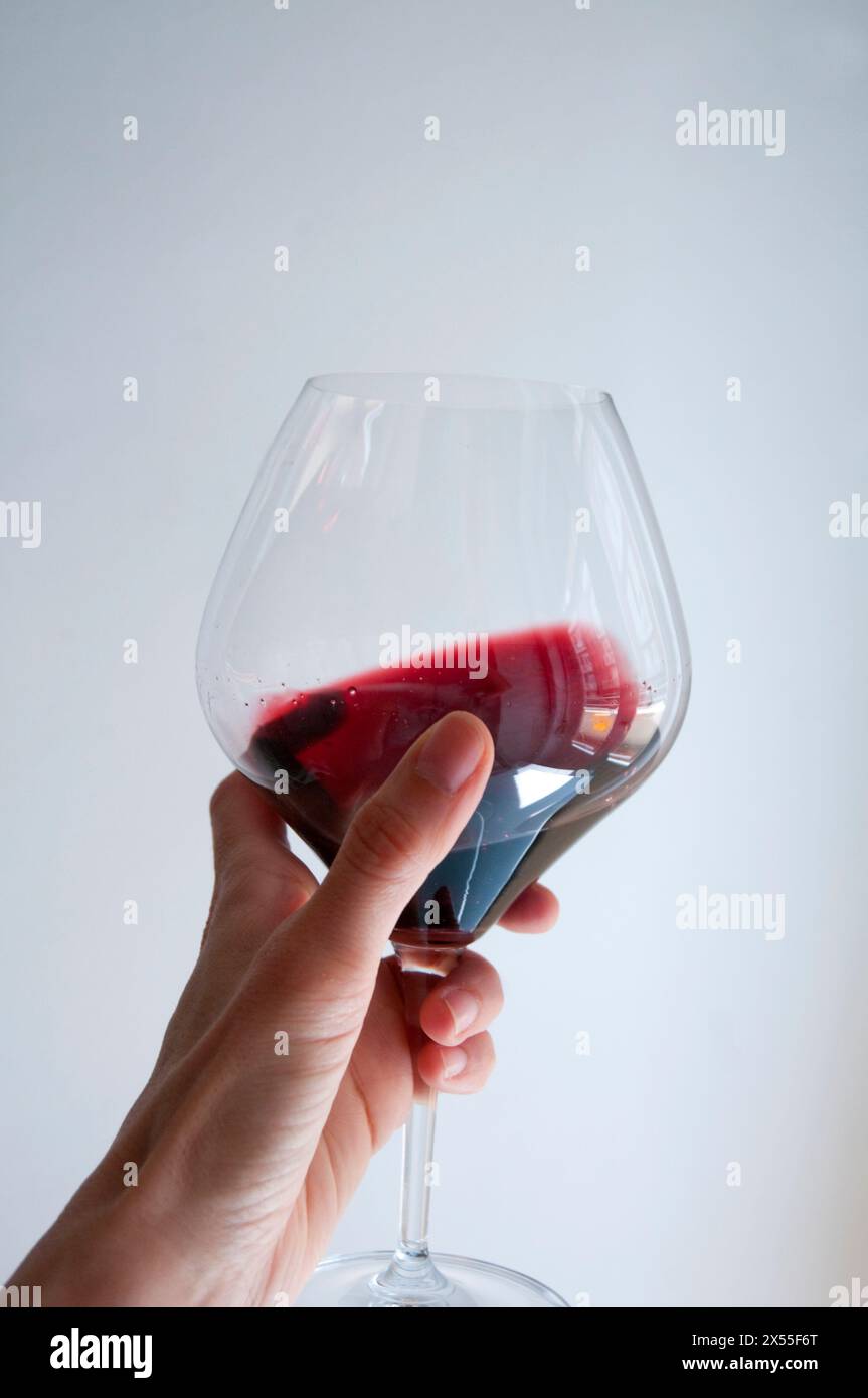 Woman's hand holding a glass of red wine, tasting it. Stock Photo