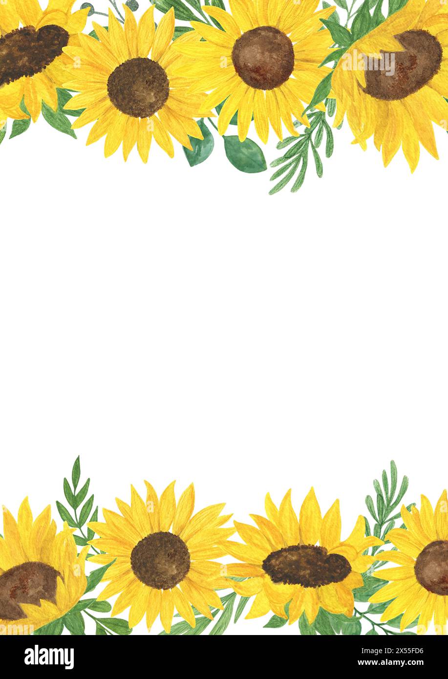 sunflowers-and-leaves-horizontal-border-watercolor-illustration-seamless-ornament-perfect-for-cards-invitations-fabric-with-copy-space-stock-photo-alamy