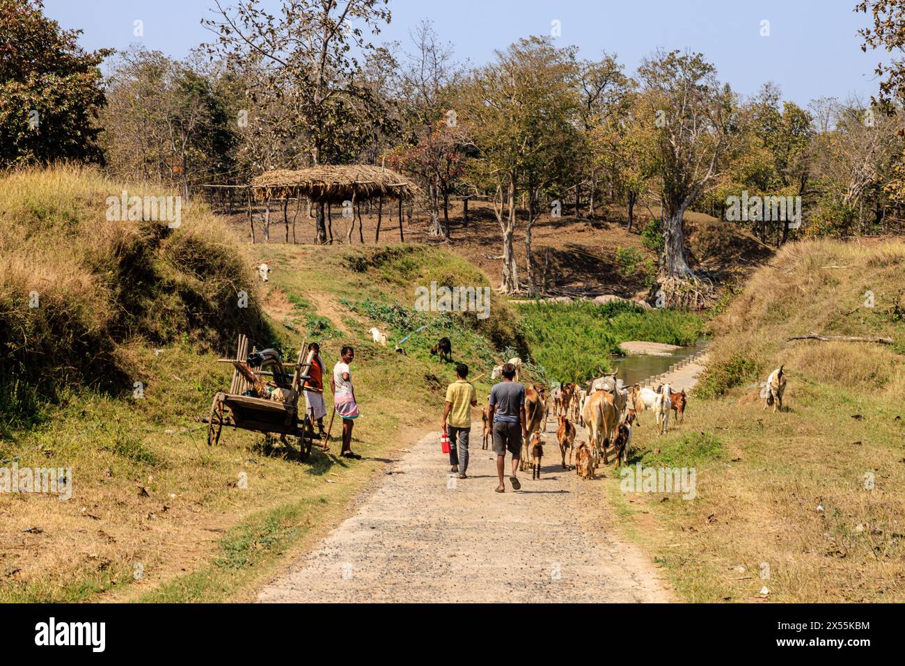 a modern constable scene in india as a family drive their herd of livestock past a wooden cart towards a thatched shelter and a bridge over the river Stock Photo