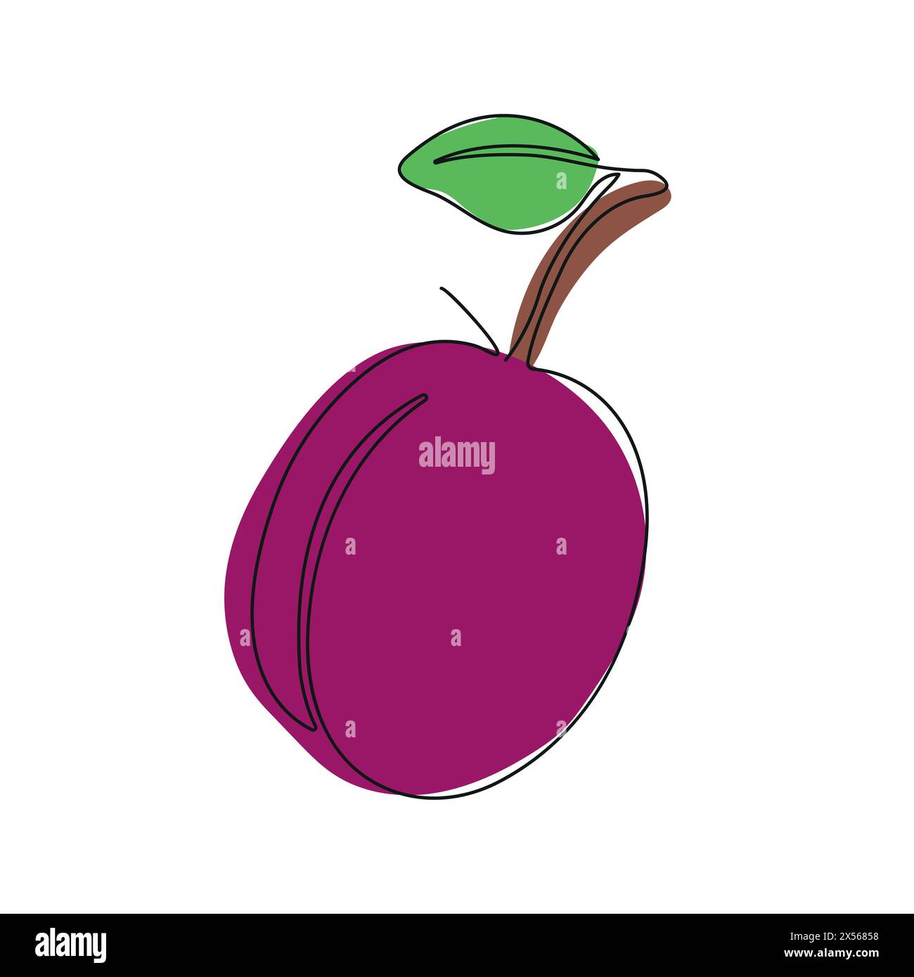 Plum in continuous line art drawing style. One plum minimalist black linear sketch isolated on white background. Vector illustration Stock Vector
