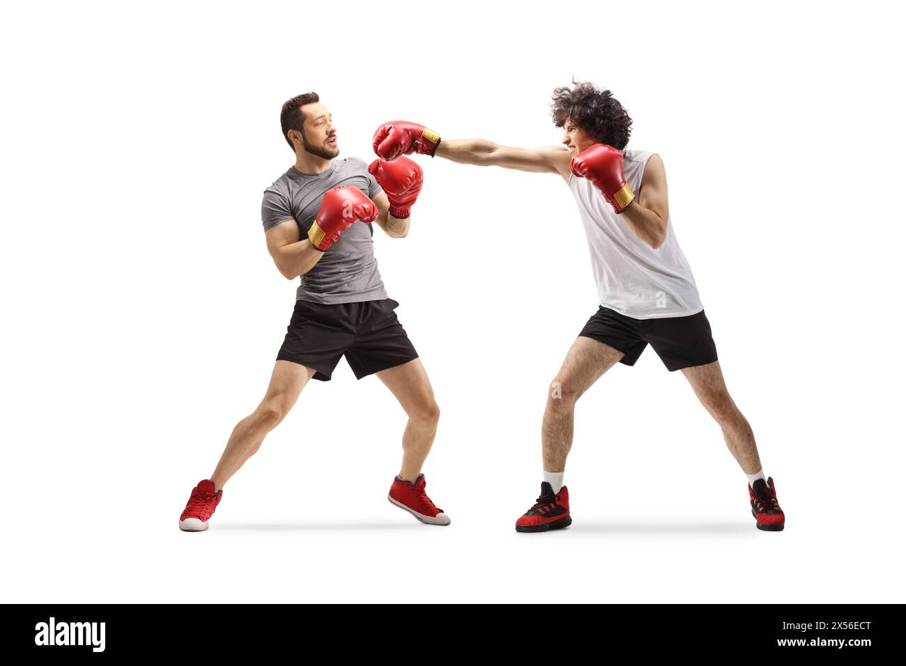 Young men fighting with boxing gloves isolated on white background Stock Photo