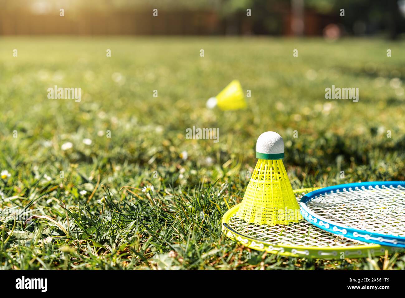 Two badminton rackets and shuttlecock on the green grass. Summer sports activity. Stock Photo