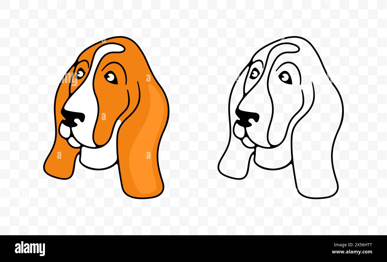 Dog head, basset hound breed, graphic design. Animal, pet, hound, dog