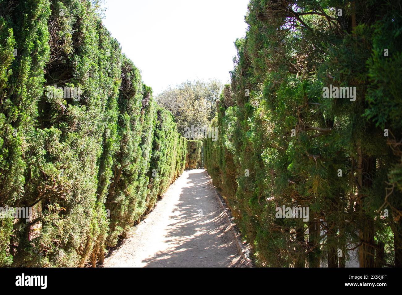 Neoclassical historical garden Parc del Laberint d'Horta,Barcelona,Spain,Sustainability,conserving the environment,Protecting biodiversity Stock Photo