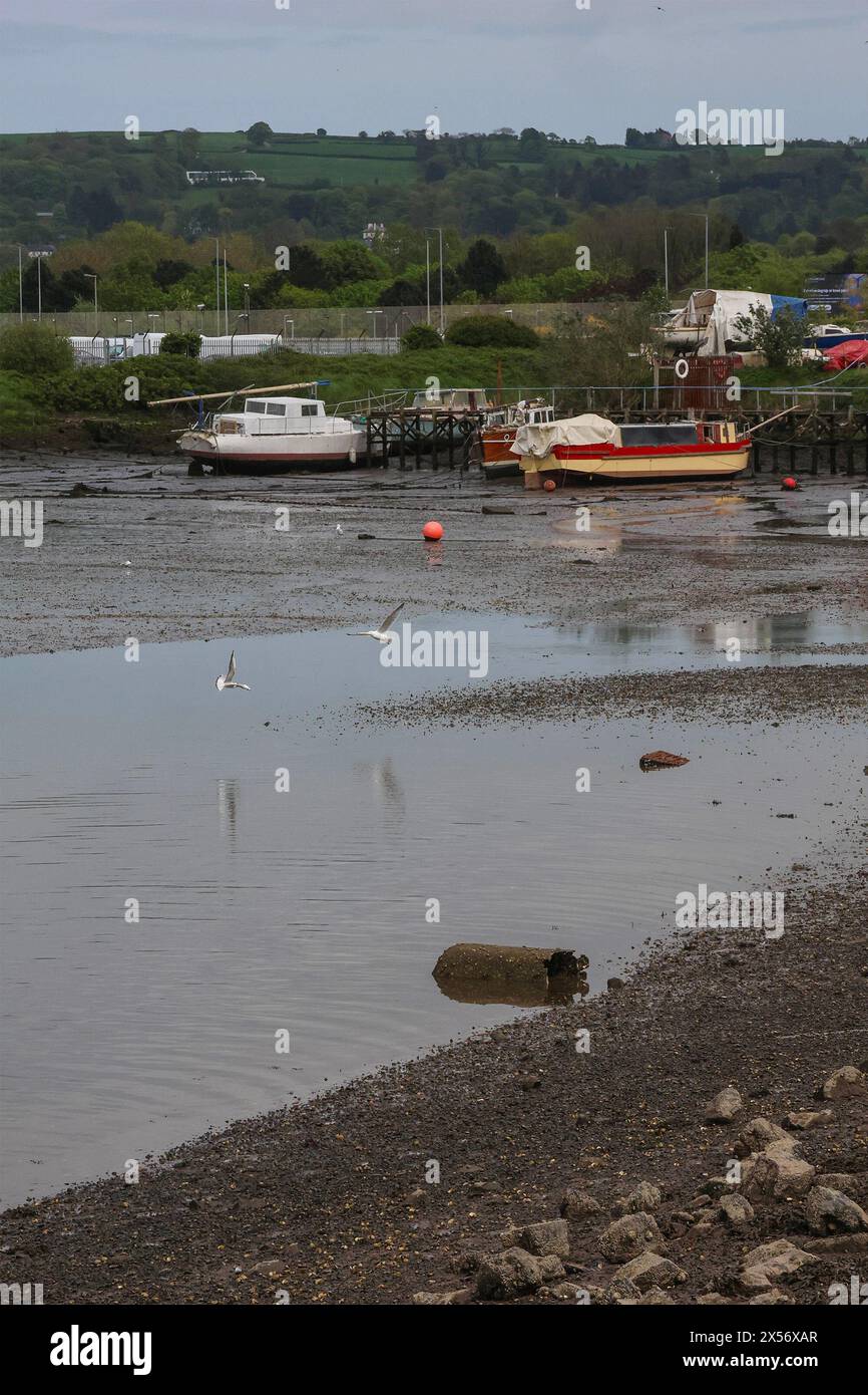 Victoria Park, Belfast, Northern Ireland, UK. 07th May 2024. UK weather - a dry day, little wind with variable cloud and periods of sunshine. Low tide and yachts in the adjacent East Belfast Yacht club. Credit: CAZIMB/Alamy Live News. Stock Photo