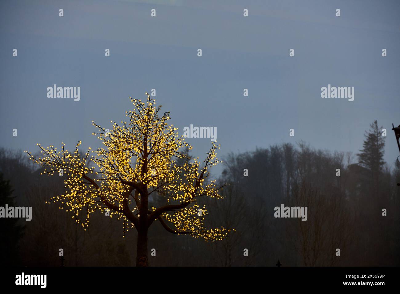 Lonely banner hi-res stock photography and images - Alamy