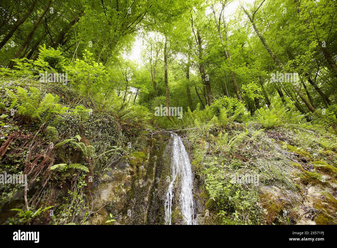Worm eye view waterfall hi-res stock photography and images - Alamy